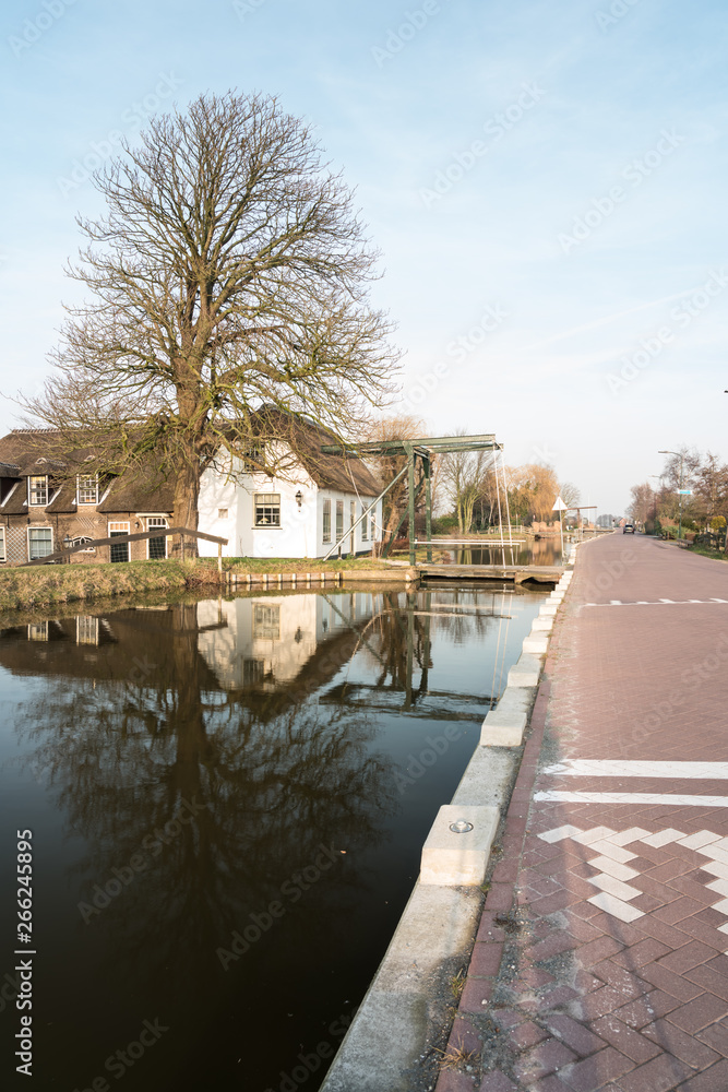 Naklejka premium typical Dutch bridge