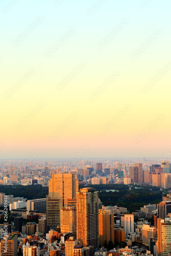 東京の都市風景　夕方・朝・都市・都会