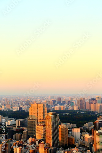 東京の都市風景　夕方・朝・都市・都会 © JP trip landscape DL