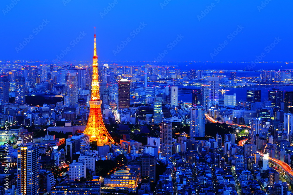 東京の都市風景 夜景 都市 都会 ビル Stock Photo Adobe Stock