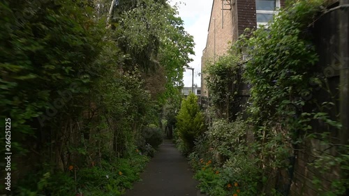 Spring walk through the narrow path of Dairy Walk in Wimbledon, London UK, an urban paradise filled with wild flowers around. photo