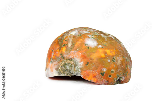 Rotten papaya on white background , Fungus in papaya,bad moldy and rotten vegetable food concept