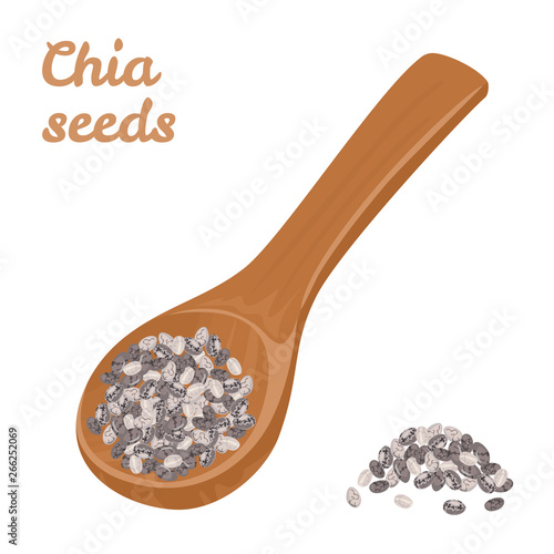 Chia seeds in wooden spoon isolated on white background. Vector illustration of heap of healthy grains in cartoon flat style. Vegan food.