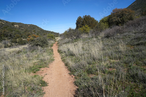 A hiking trail in the Arizona desert