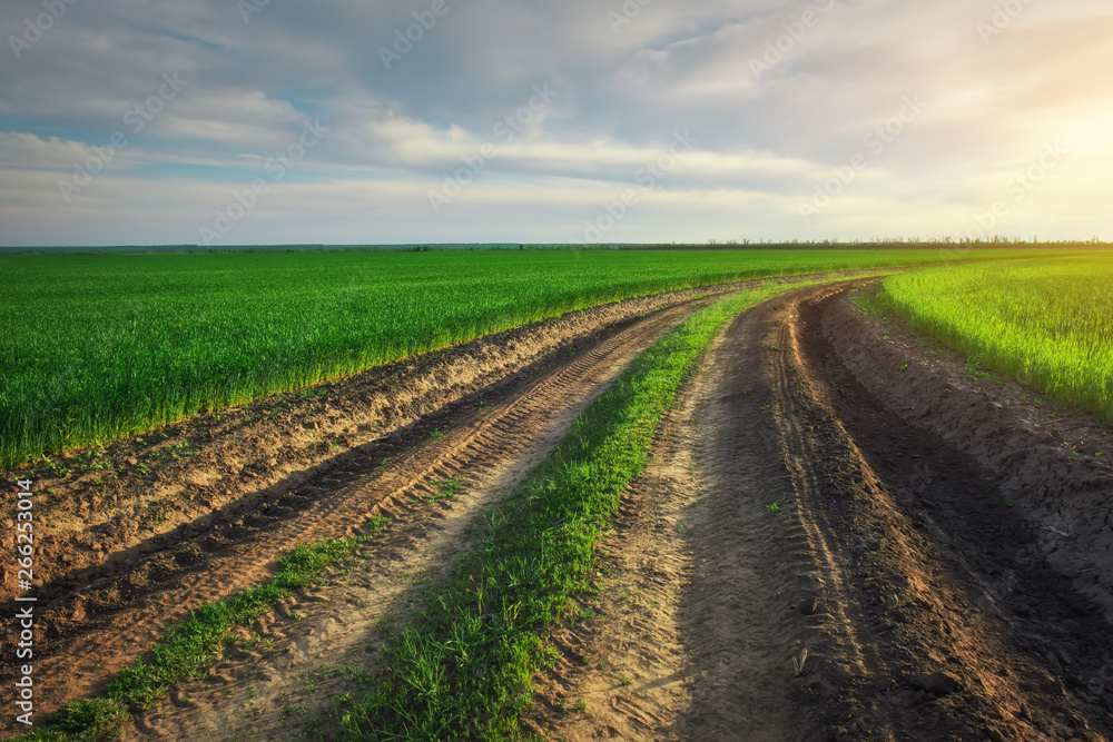 Landscape with dirt road between meadow early in spring. Agricultural, fields and pastures. Nature design Landscape with dirt road between meadow early in spring. Agricultural, fields and pastures. Nature design