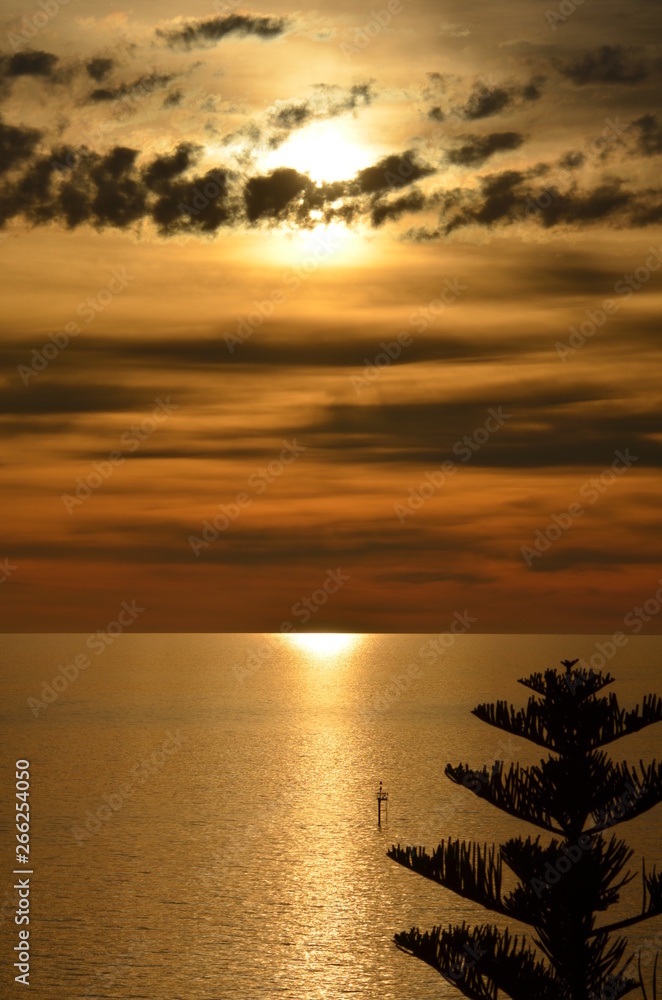 ocean sunset scene with orange and yellow clouds with a burnished sky and calm ocean reflections and a foreshore pine tree with a navigation marker off Glenelg South Australia