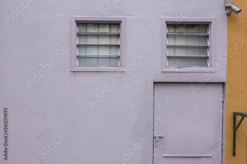 Entrance (back door) of a building and window.