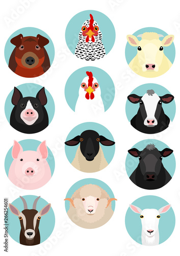livestock faces set