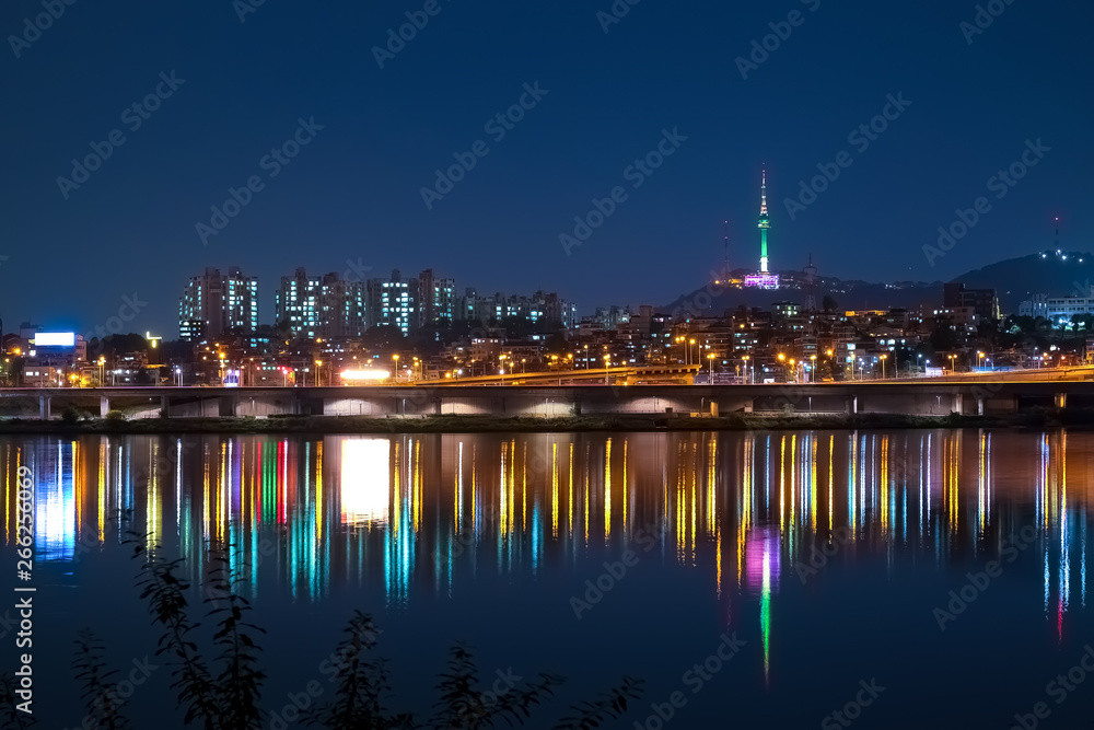 韓国 ソウル 盤浦漢江公園からの夜景