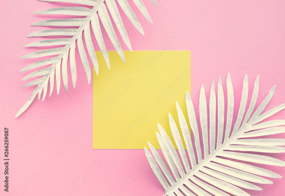 Collection of white tropical leaves,foliage plant with geometric color space background - obrazy, fototapety, plakaty 