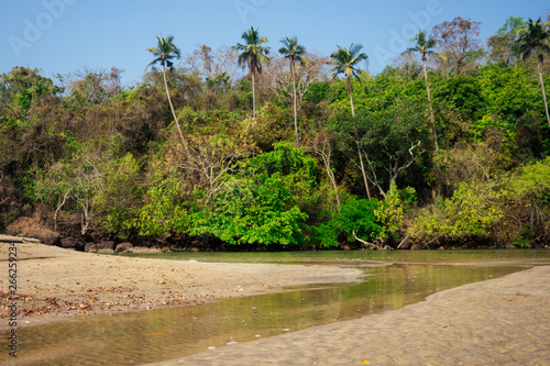 Cola Colva beach in paradise Goa copyspase