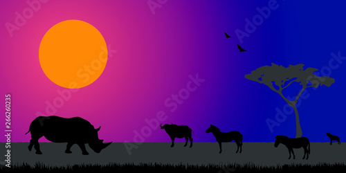 Photography African savanna landscape