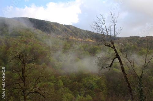 Landscape of Djurdjevica Tara village. Forest, mountain, fog and river