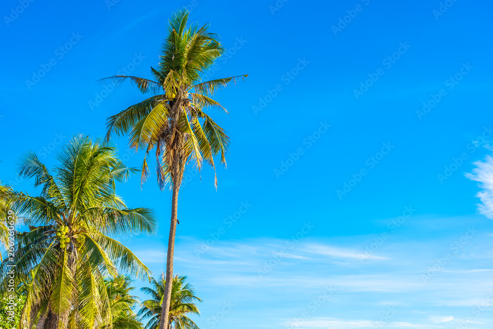 Beautiful tropical outdoor nature landscape of beach sea and ocean with coconut palm tree