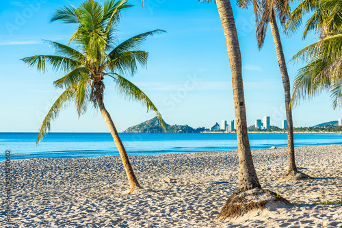 Beautiful tropical outdoor nature landscape of beach sea and ocean with coconut palm tree