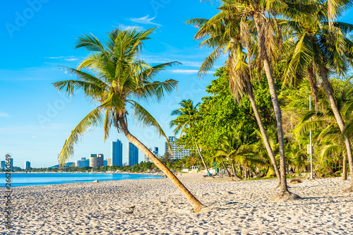 Fototapeta Naklejka Na Ścianę i Meble -  Beautiful tropical outdoor nature landscape of beach sea and ocean with coconut palm tree
