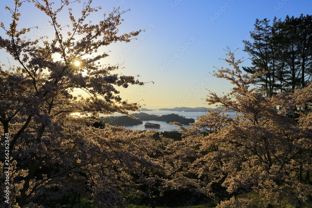 春の松島