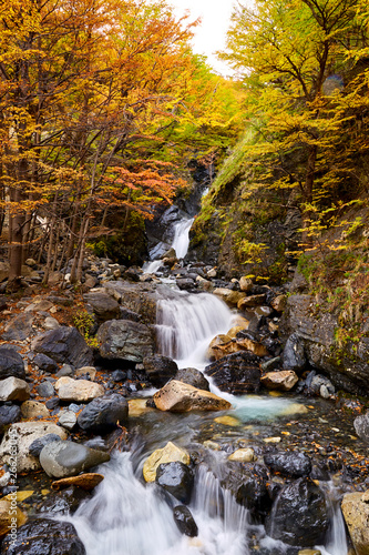 Autumn Leaves 