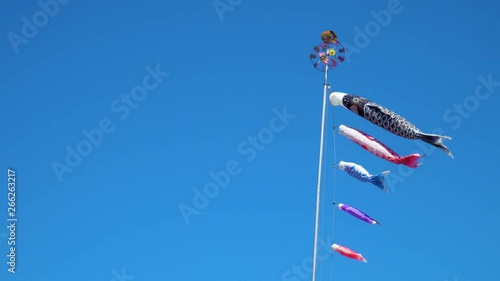 気持ちよさそうに青空を泳ぐ鯉のぼり