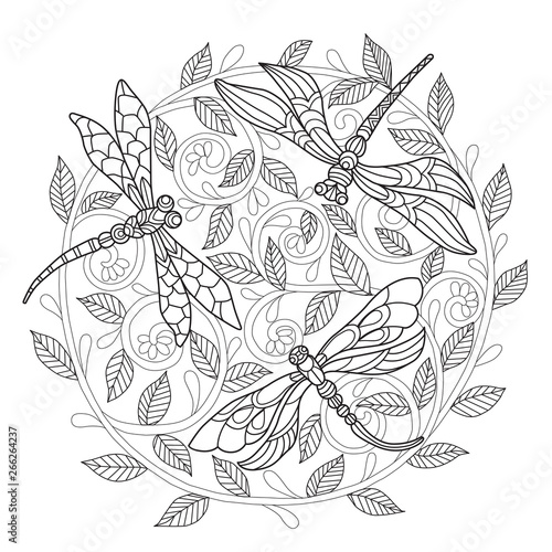Hand drawn sketch illustration of dragonfly for adult coloring book.