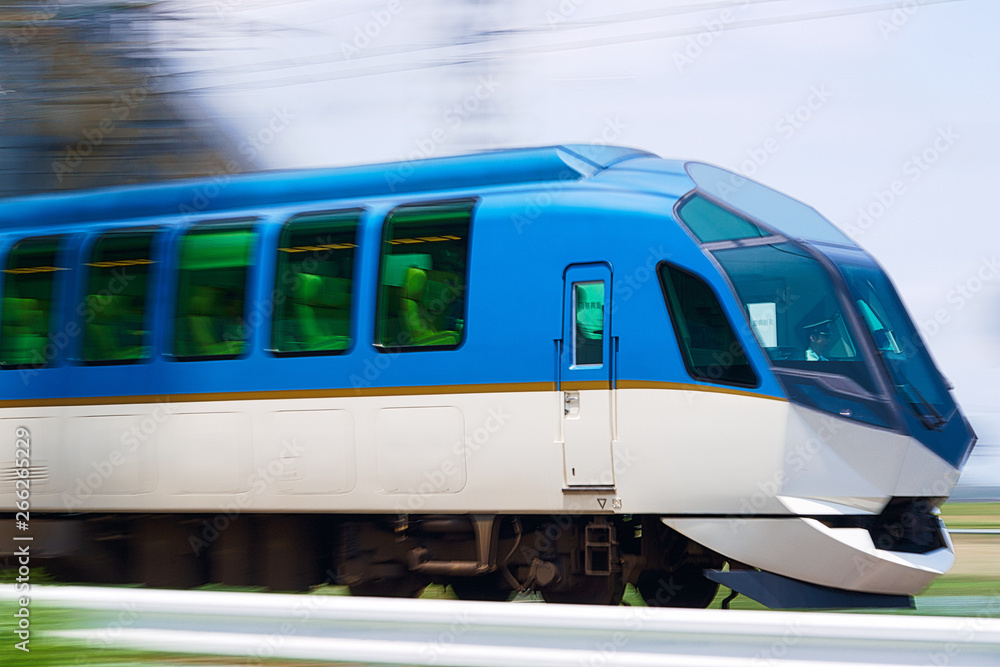 Fototapeta premium 近鉄観光特急「しまかぜ」