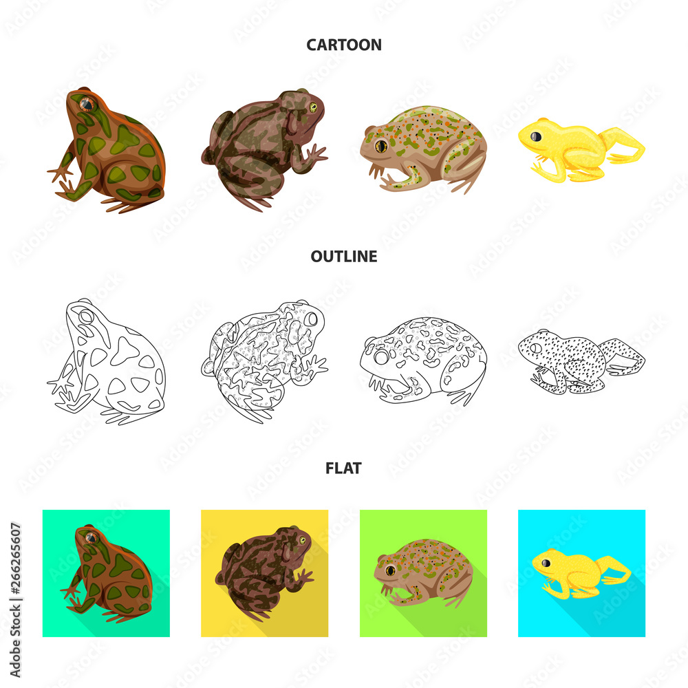 Isolated object of wildlife and bog sign. Collection of wildlife and reptile vector icon for stock. Isolated object of wildlife and bog sign. Collection of wildlife and reptile vector icon for stock.