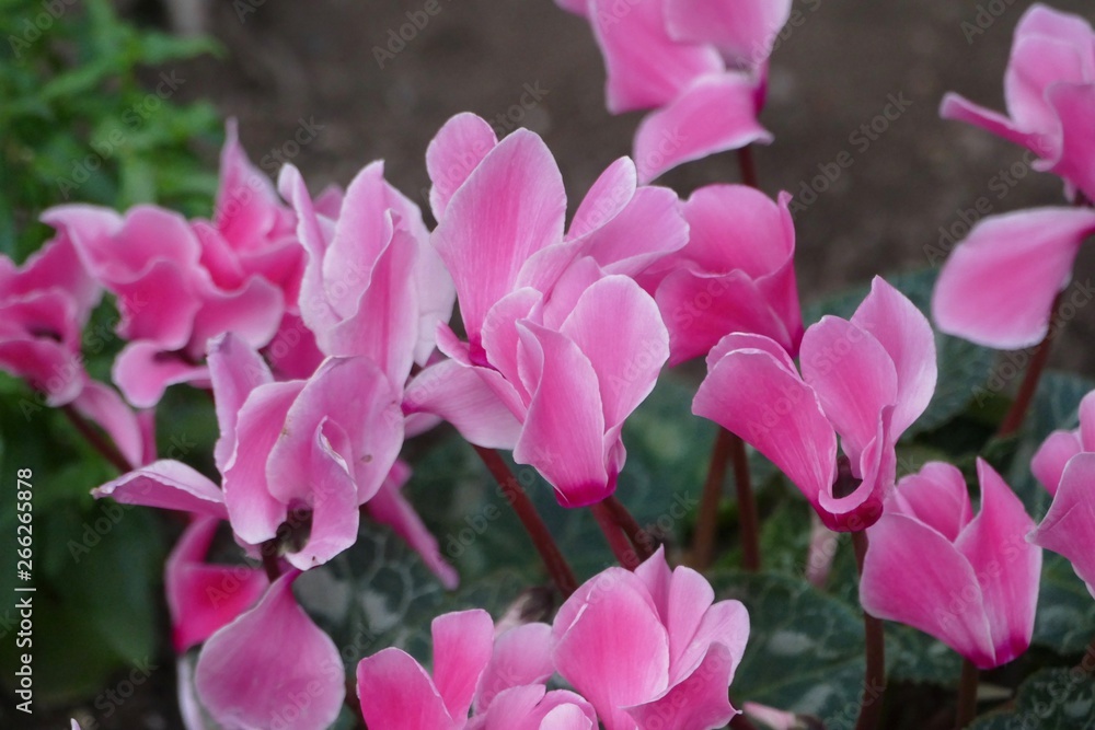 《ブルーメッセ秋田》秋田県潟上市