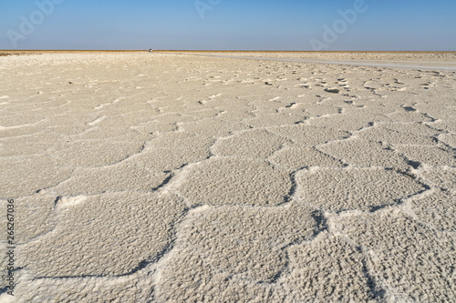 Plain of salt in the Danakil Depression in Ethiopia  Africa.