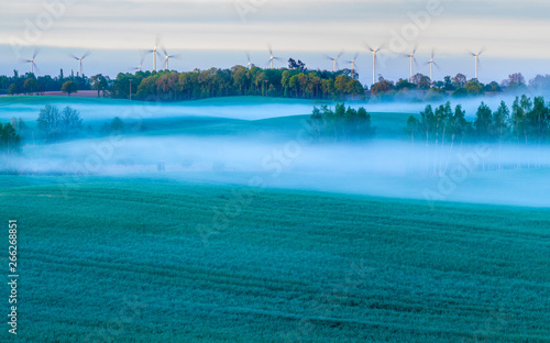 beautiful, ecological farmland at sunrise. Waved, green field, forest,windmills and morning fog forming a beautiful, rural landscape