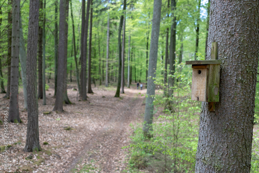 Birdcage attached to a tree in the forest. A shelter for birds seen from above. Birdcage attached to a tree in the forest. A shelter for birds seen from above.