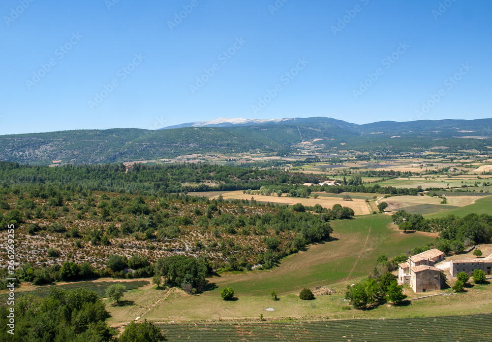 Naklejka premium Fields and meadows in valley below Sault, Provence France