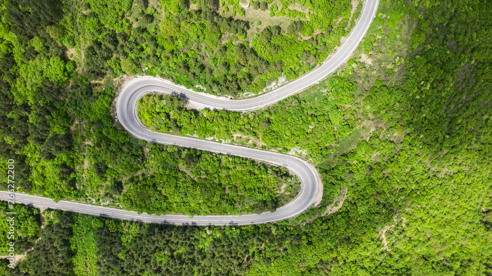 Aerial view of road through forest Aerial view of road through forest
