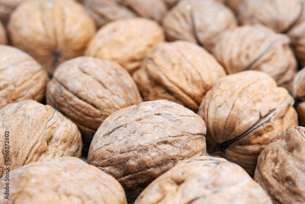 Walnüsse frisch viele organisch bio. Braune Nüsse. Gesunde Walnüsse. Walnüsse mit gesunden Omega 3 Fettsäuren und Antioxidantien für die Schönheit. Walnüsse frisch viele organisch bio. Braune Nüsse. Gesunde Walnüsse. Walnüsse mit gesunden Omega 3 Fettsäuren und Antioxidantien für die Schönheit.