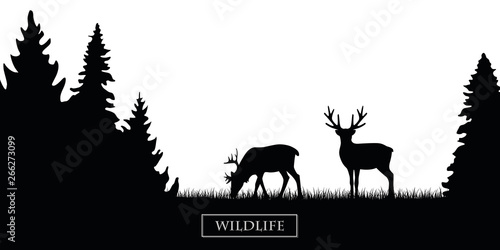 two wildlife reindeer silhouette in the forest on the meadow black and white vector illustration EPS10