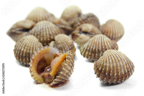 cockles isolated on white background