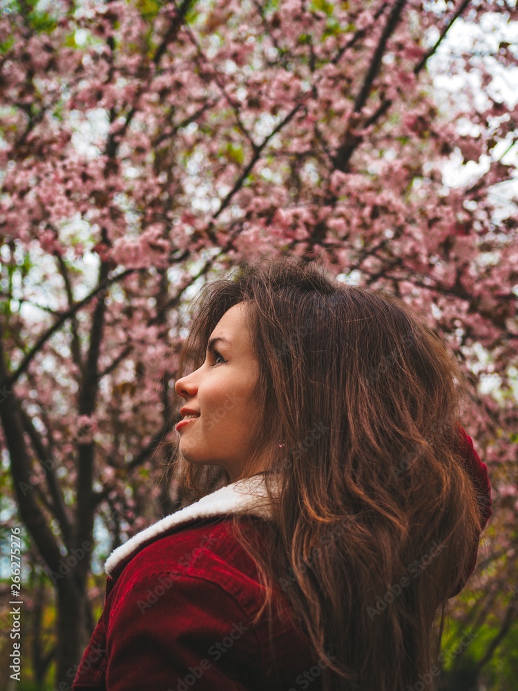 Brunette girl with long hair in a red jacket is surrounded by pink Sakura flowers Brunette girl with long hair in a red jacket is surrounded by pink Sakura flowers