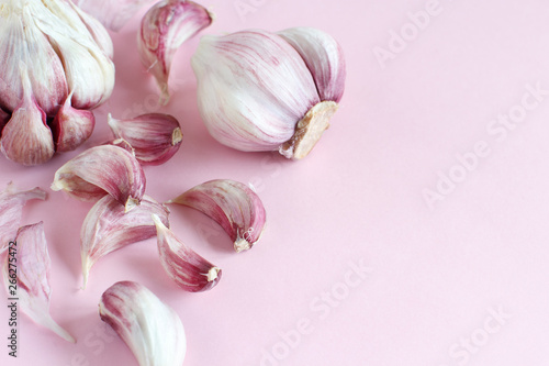 Fresh garlic on a light pink background photo