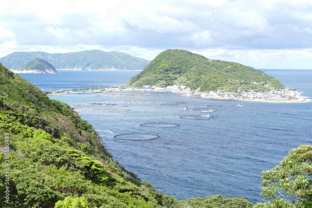 高知県柏島の風景