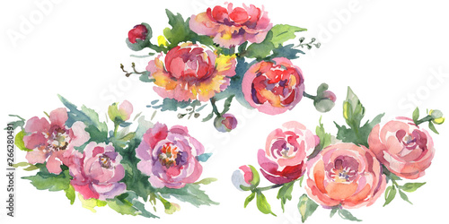 Peony bouquet floral botanical flowers. Watercolor background illustration set. Isolated bouquets illustration element.