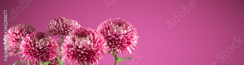 image of beautiful flowers on a red background