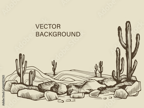 Cacti in the Arizona desert sketch