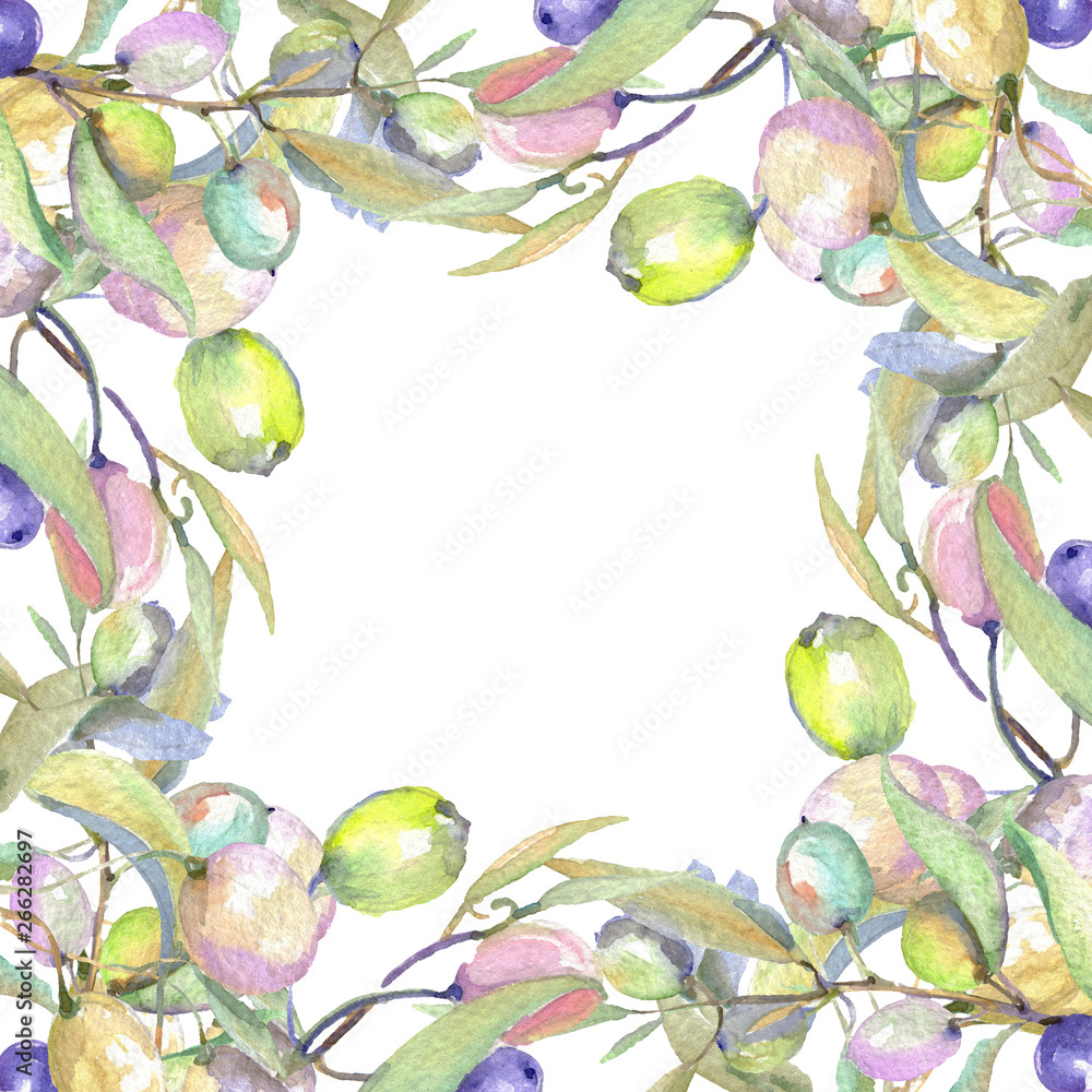 Olive branch with green fruit. Watercolor background illustration set. Frame border ornament square.