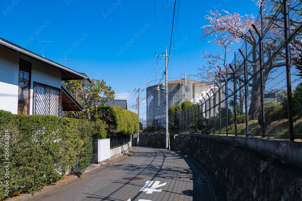 多摩市 桜ケ丘（聖蹟桜ヶ丘） 住宅街と桜ヶ丘浄水所 春