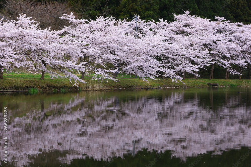 春の平筒沼 春の平筒沼