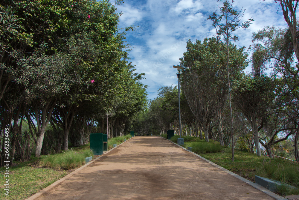 Parque cielo azul