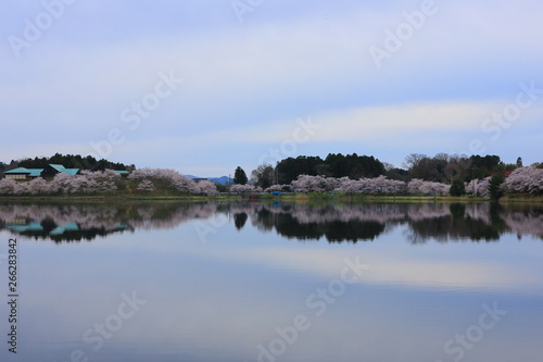 春の平筒沼 © yspbqh14