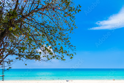 Fototapeta Naklejka Na Ścianę i Meble -  Summer seascape on tropical Phuket island in Thailand. Landscape taken on main long sunrise beach with blue sky and white sand.
