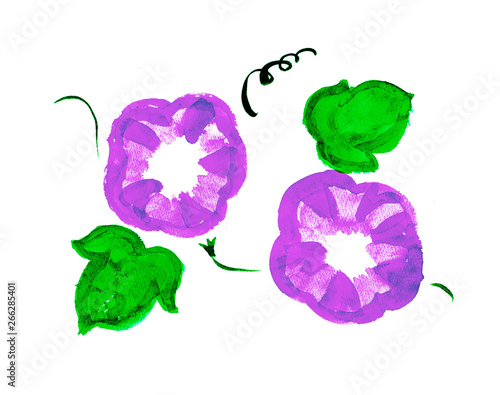 朝顔 アサガオ あさがお 花 夏 夏の花 紫 朝 夏休み 手書き 手描き 手書き風 Stock イラスト Adobe Stock 朝顔 アサガオ あさがお 花 夏 夏の花 紫 朝 夏休み 手書き 手描き 手書き風 Stock イラスト Adobe Stock