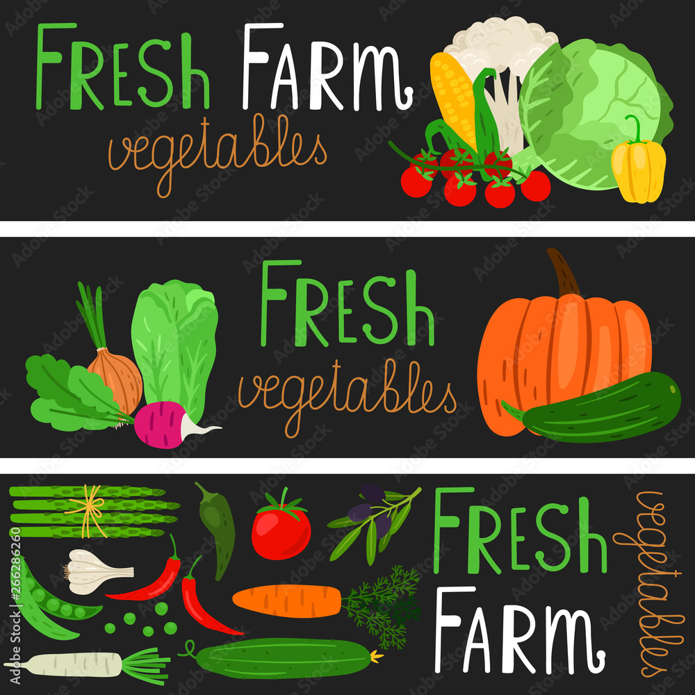 Harvest banners design. Cartoon vegetables vector background with text