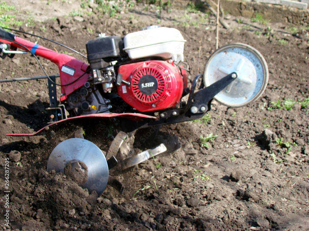 custom made wallpaper toronto digitalmotor cultivator
